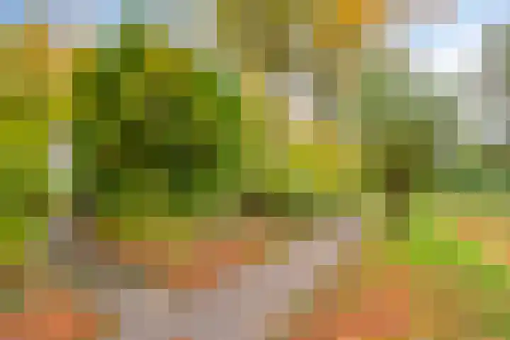Melkpad 221 Zeeland thumbnail 39