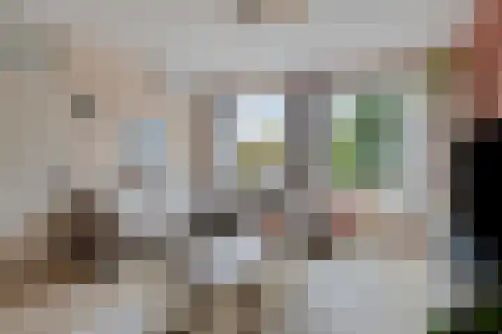 Melkpad 221 Zeeland thumbnail 4