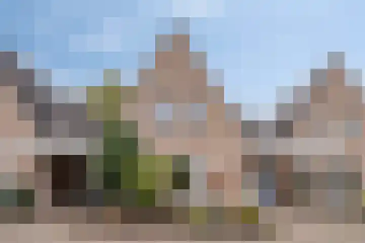 Melkpad 221 Zeeland thumbnail 40