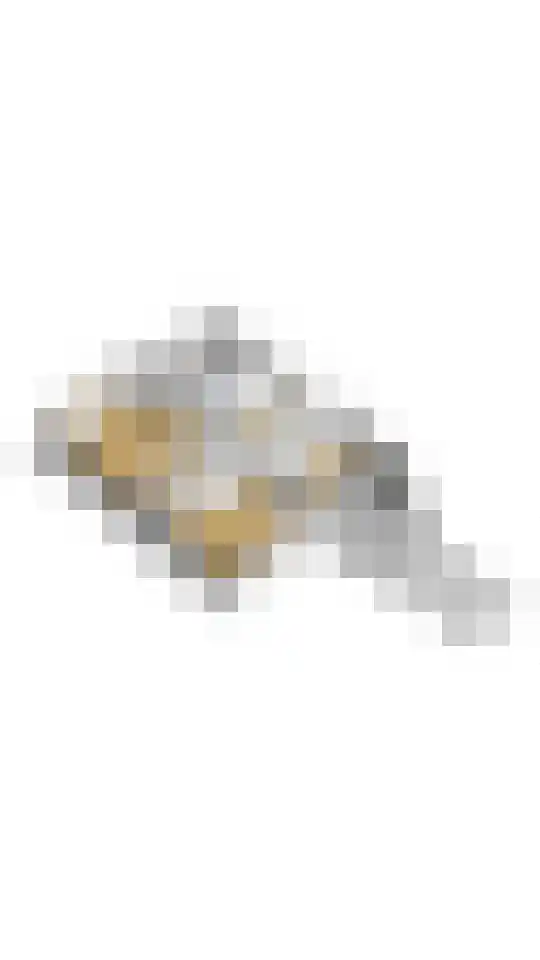 Melkpad 23 Baarn thumbnail 31