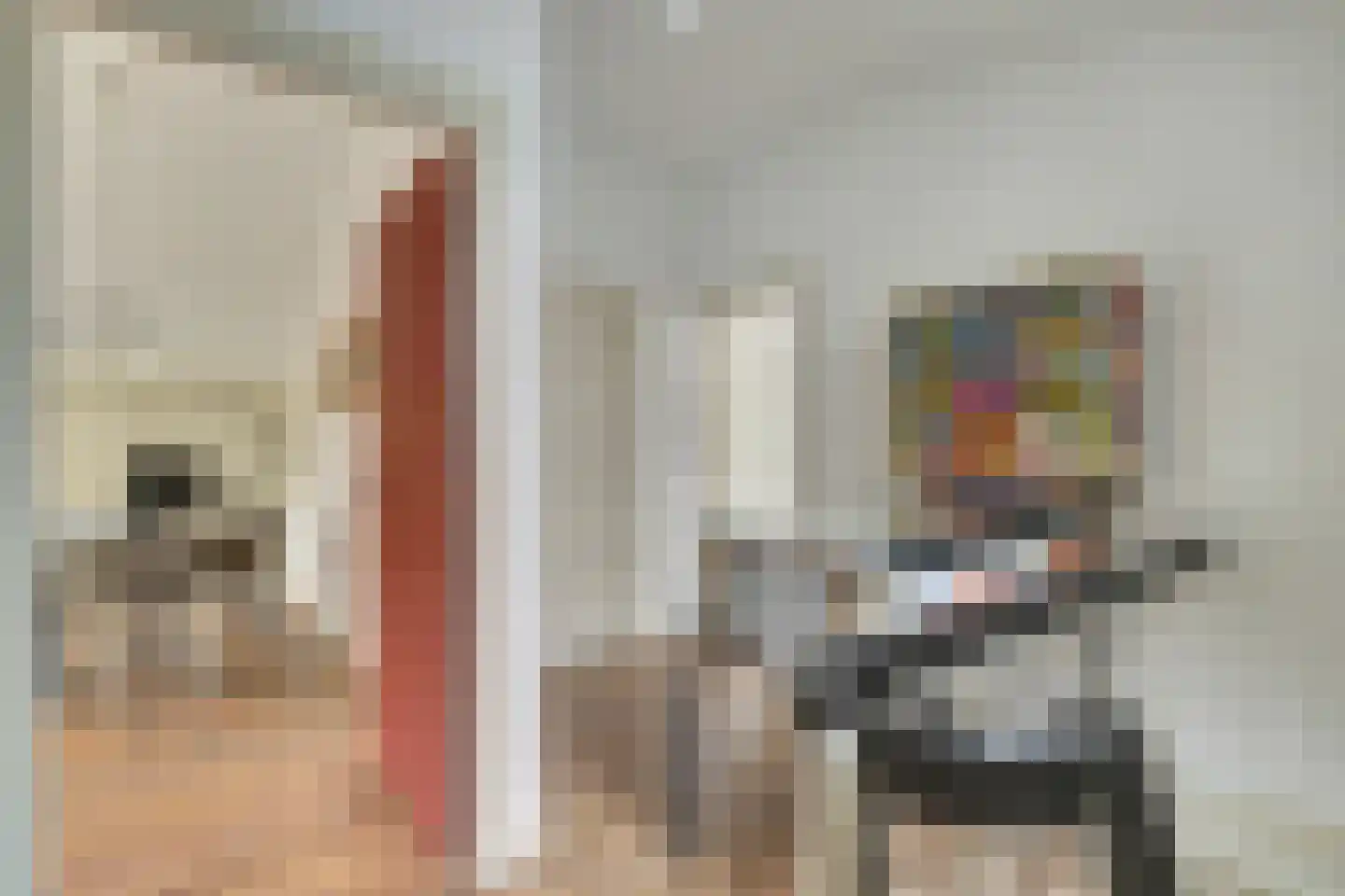 Melkpad 4 Gorinchem thumbnail 12