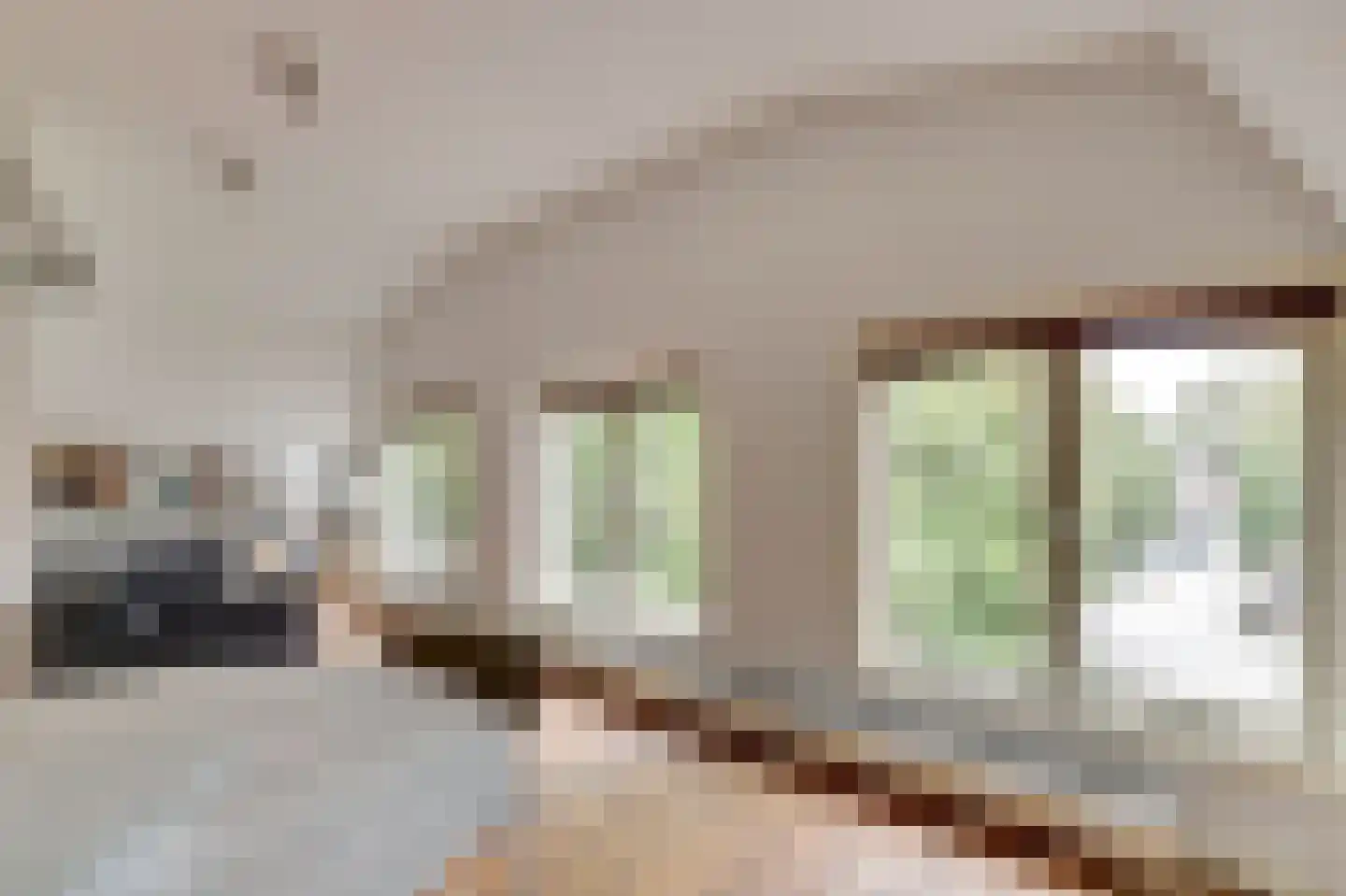 Melkpad 4 Gorinchem thumbnail 22