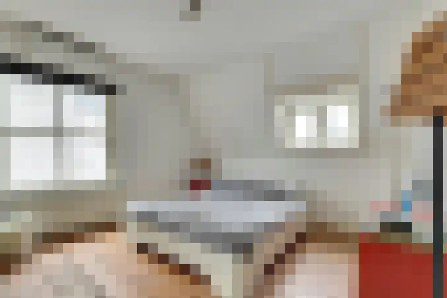 Melkpad 4 Gorinchem thumbnail 25