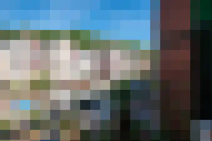 Melkpad 5 Gorinchem thumbnail 14