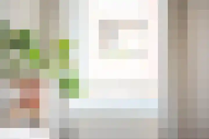 Melkpad 5 Gorinchem thumbnail 18