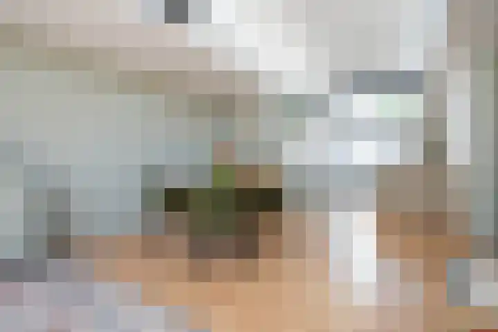 Melkpad 5 Gorinchem thumbnail 9