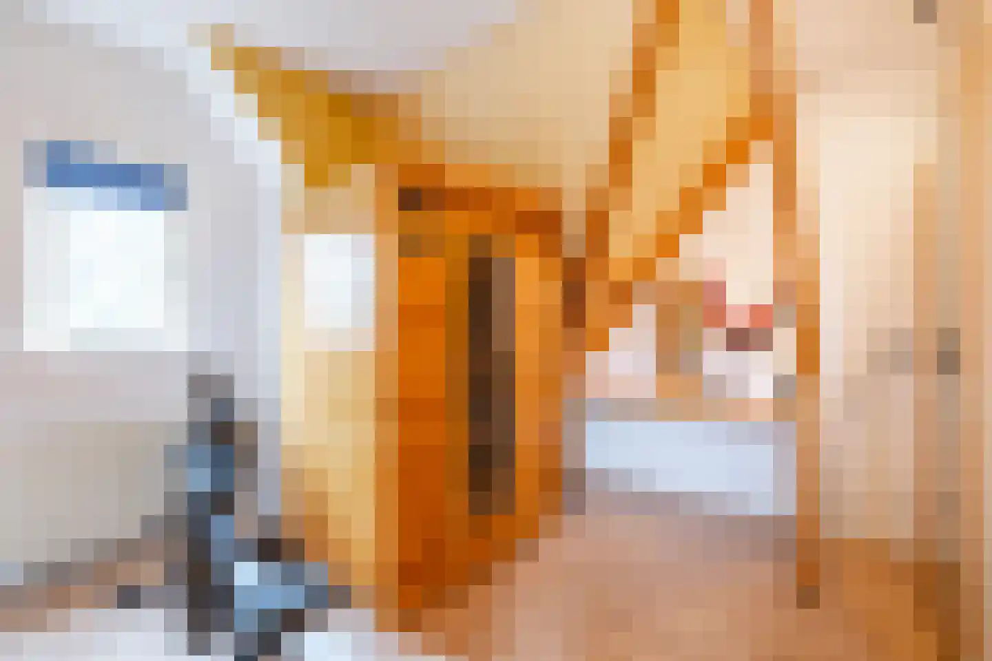 Melkpad 57 Eemnes thumbnail 32