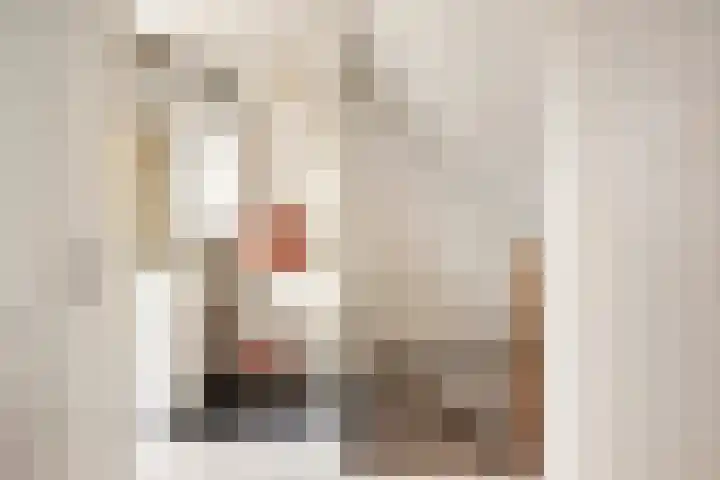 Melkpad 62 Zeeland thumbnail 17