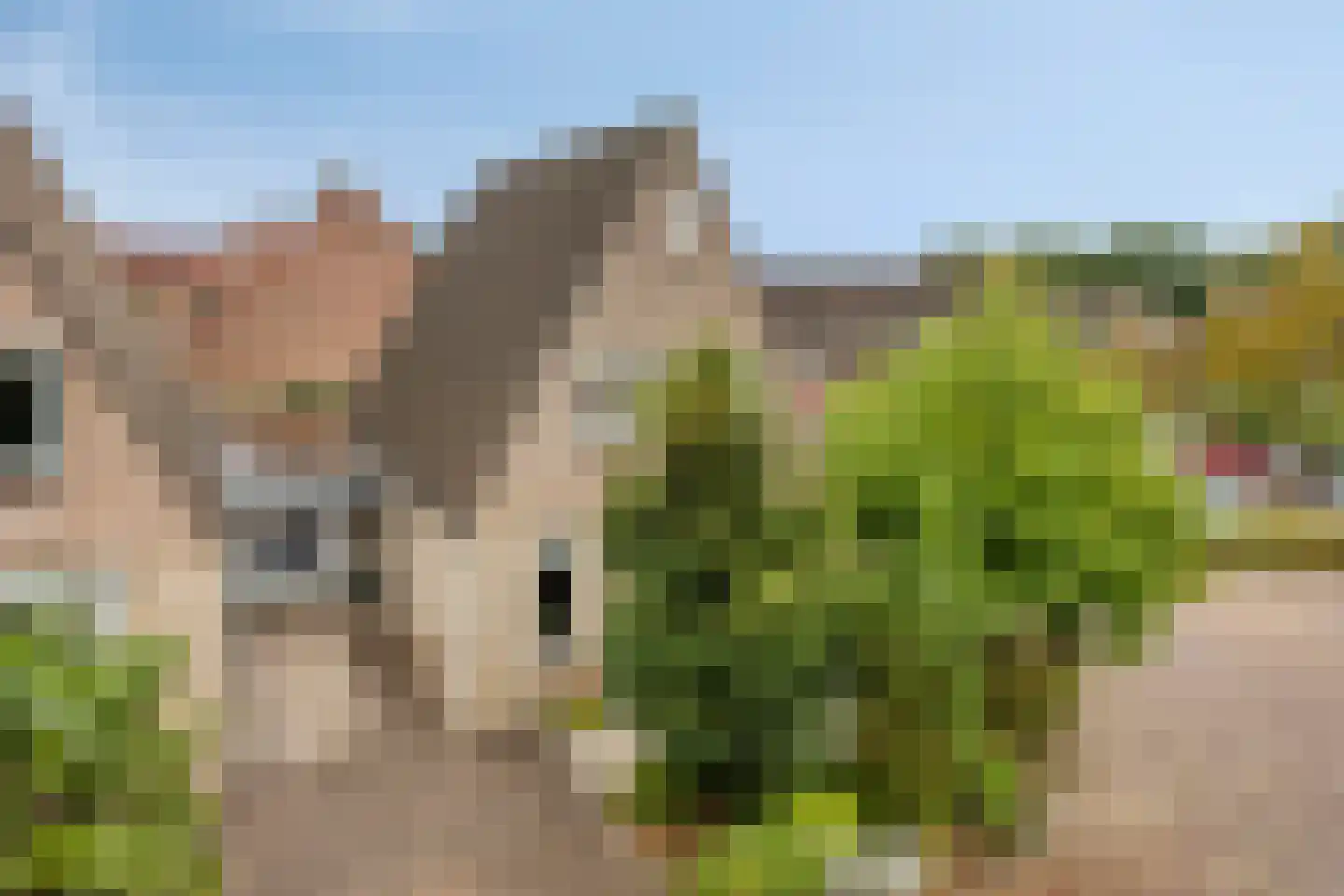 Melkpad 92 in Zeeland