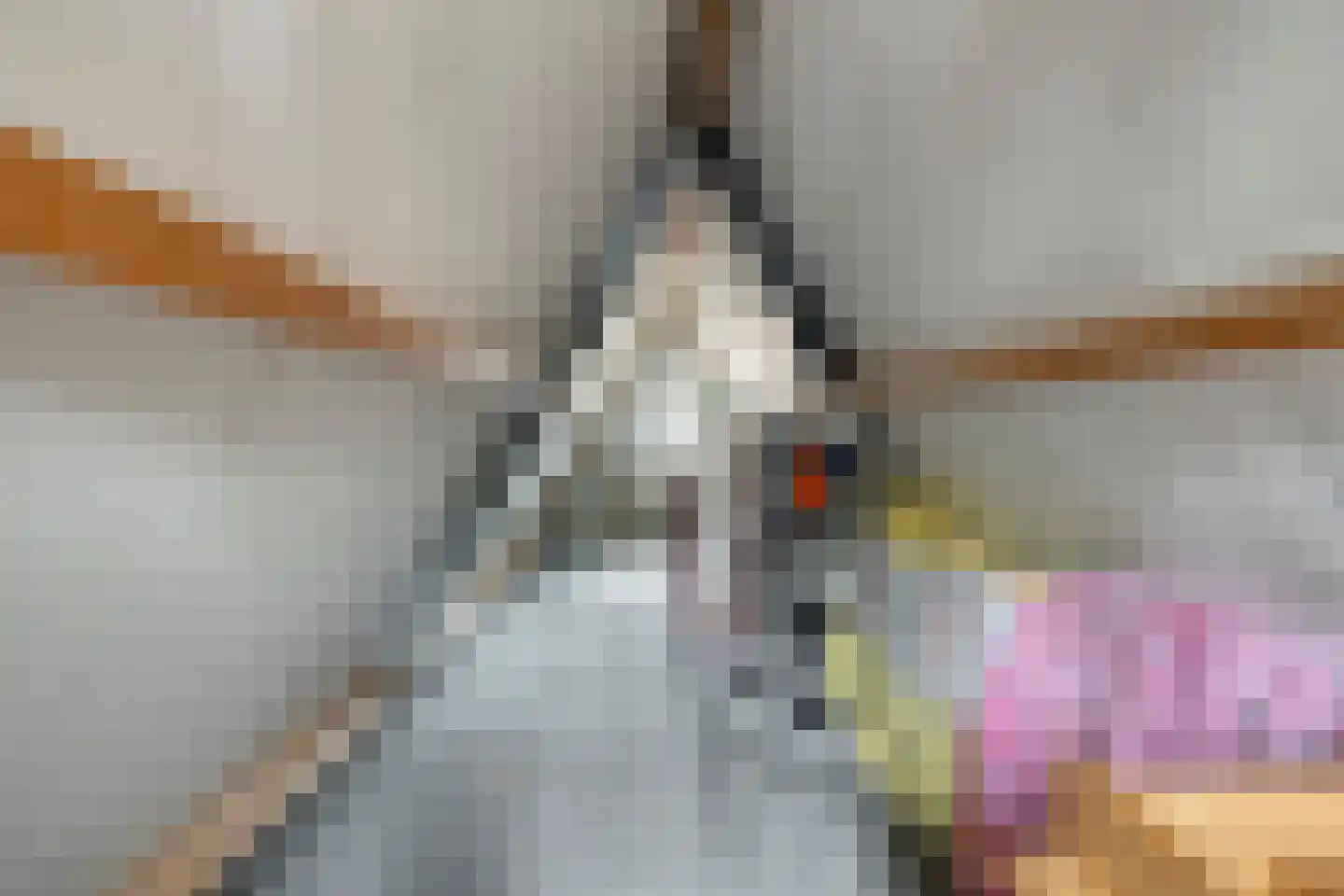 Melkpad 92 Zeeland thumbnail 30