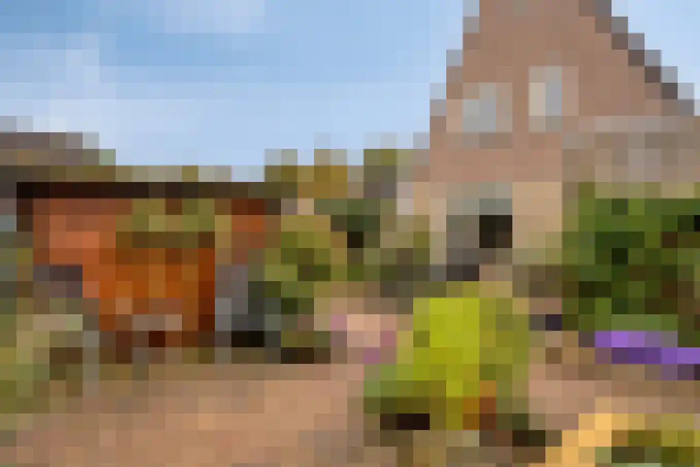 Melkpad 92 Zeeland thumbnail 32