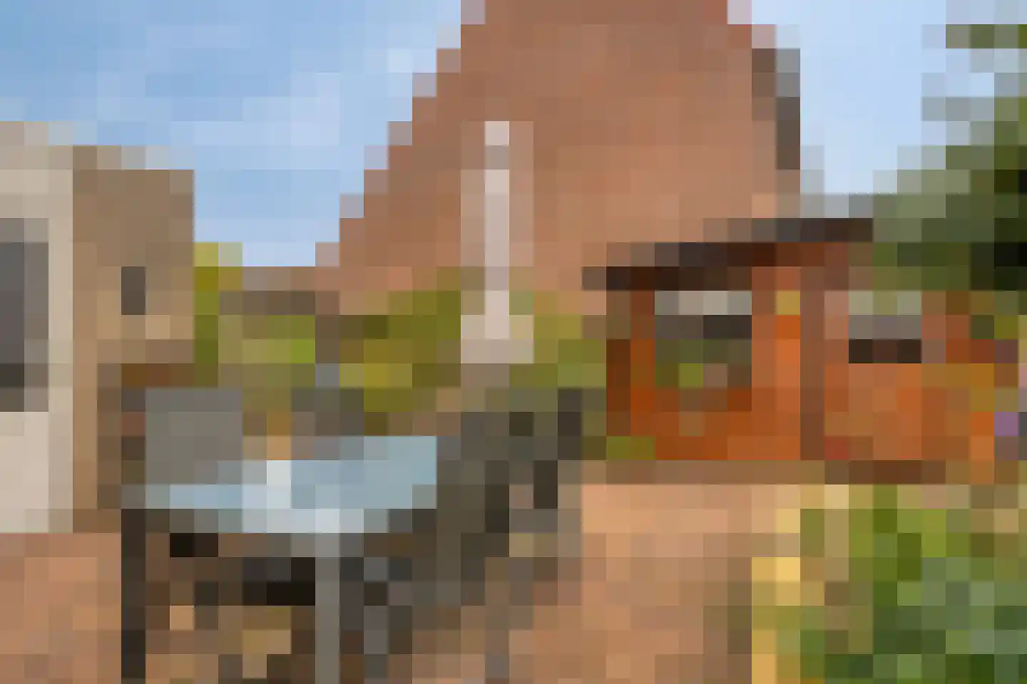 Melkpad 92 Zeeland thumbnail 34
