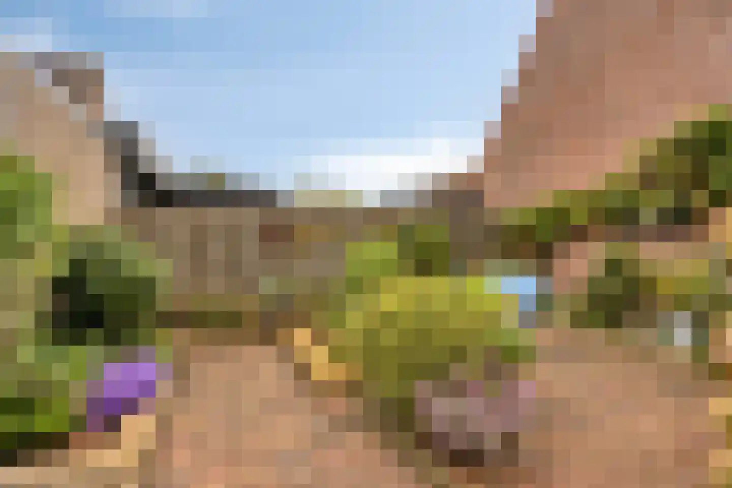 Melkpad 92 Zeeland thumbnail 35