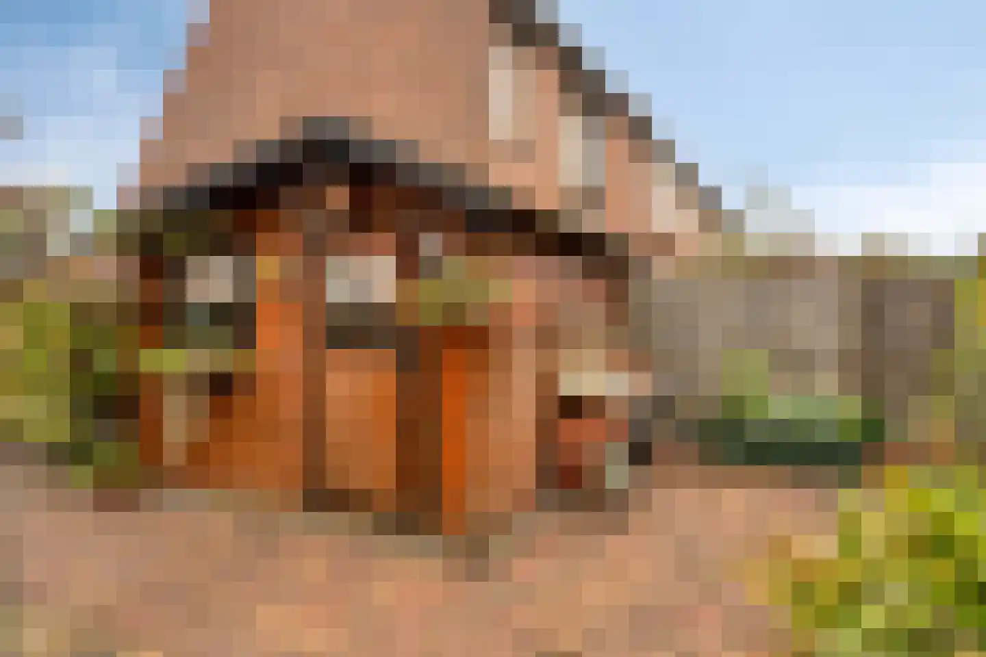Melkpad 92 Zeeland thumbnail 36