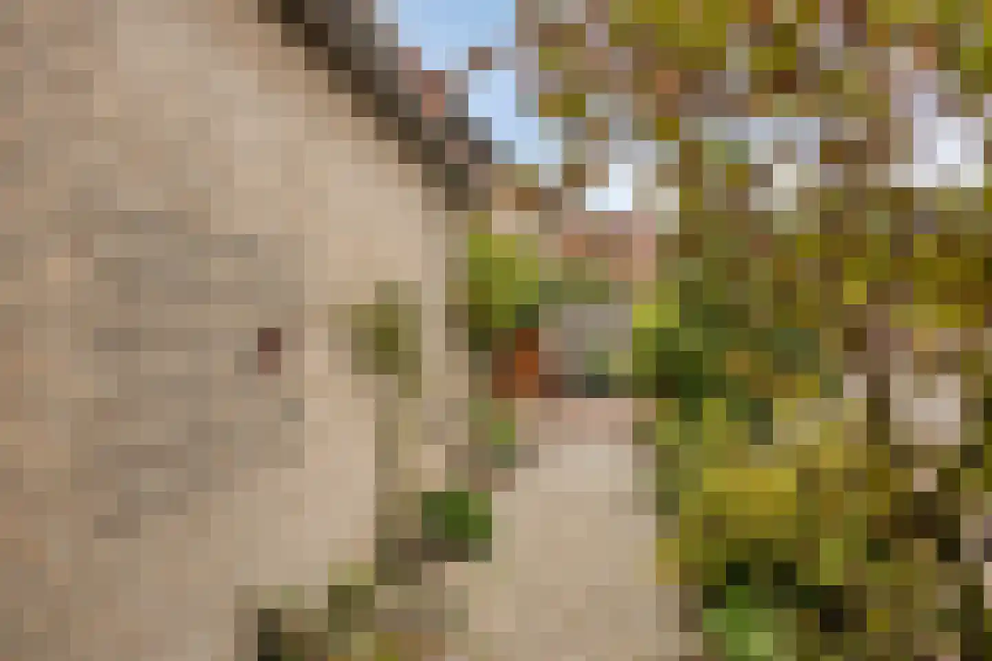 Melkpad 92 Zeeland thumbnail 37