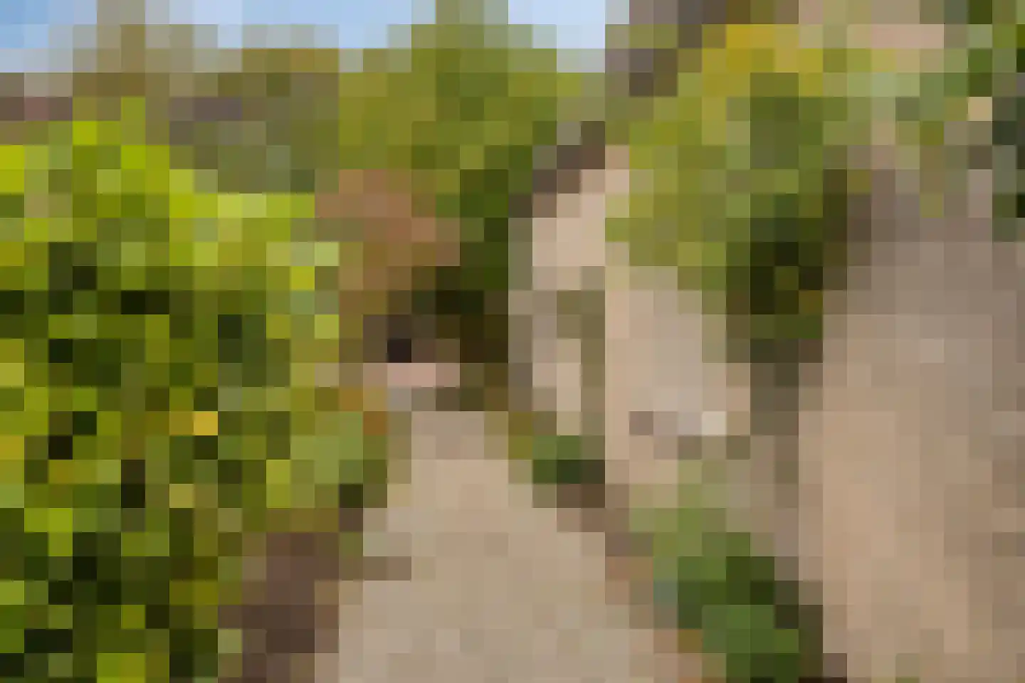 Melkpad 92 Zeeland thumbnail 38