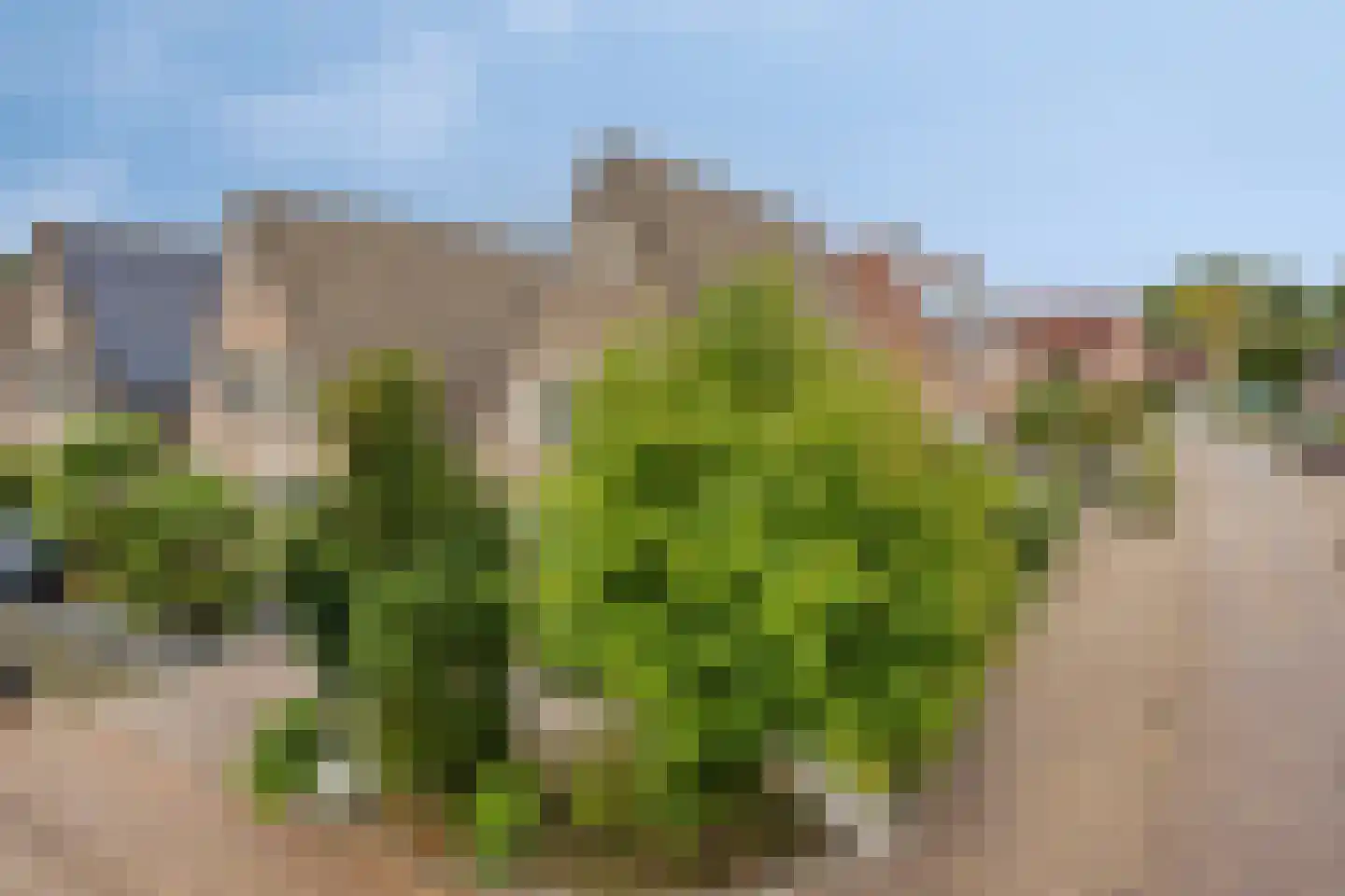 Melkpad 92 Zeeland thumbnail 43