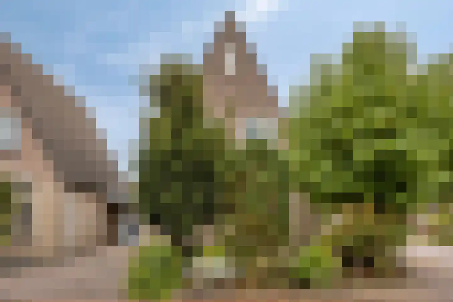 Melkpad 92 Zeeland thumbnail 44