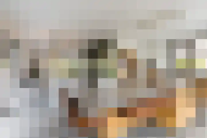 Melkrijdersweg 14 Heiloo thumbnail 15