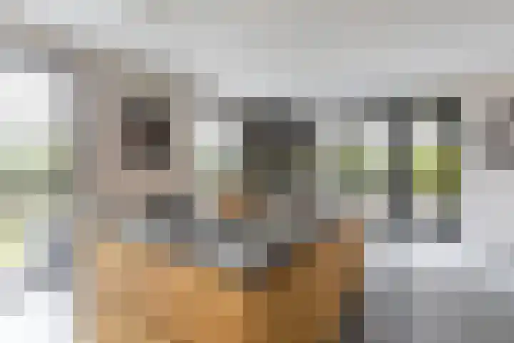 Melkrijdersweg 14 Heiloo thumbnail 16