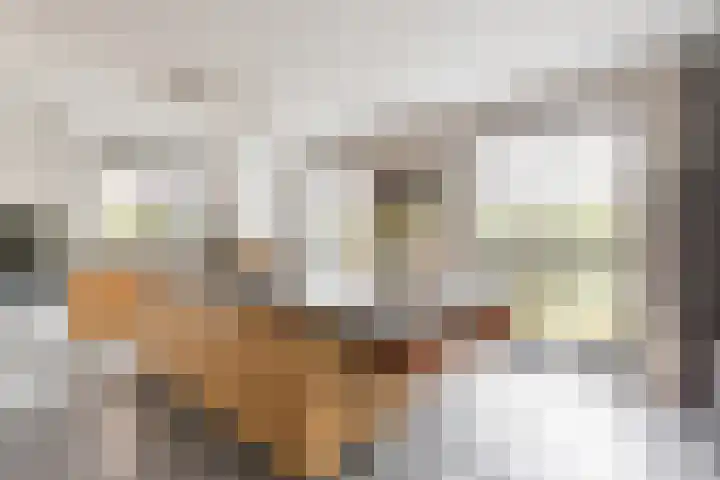 Melkrijdersweg 14 Heiloo thumbnail 18