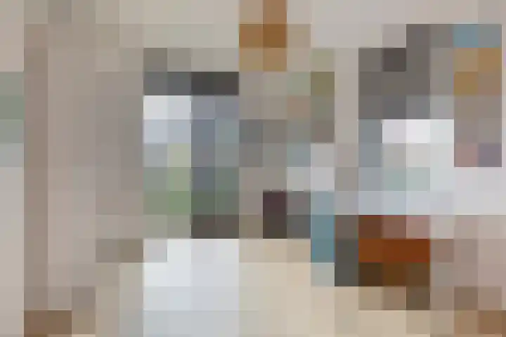 Melkrijdersweg 14 Heiloo thumbnail 27
