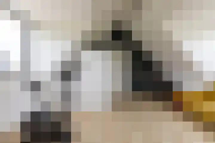 Melkrijdersweg 14 Heiloo thumbnail 33