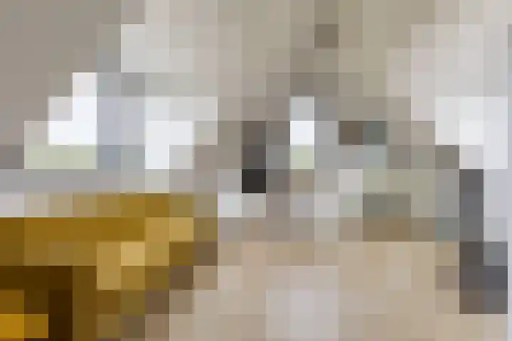 Melkrijdersweg 14 Heiloo thumbnail 35