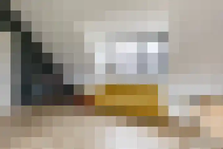 Melkrijdersweg 14 Heiloo thumbnail 36