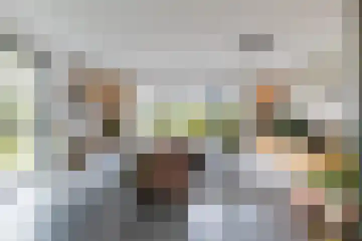 Melkrijdersweg 14 Heiloo thumbnail 4