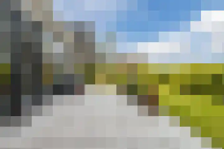 Melkrijdersweg 14 Heiloo thumbnail 42