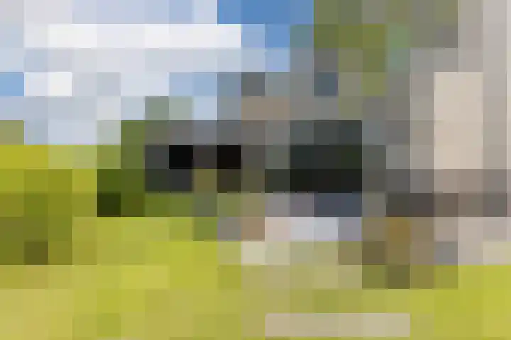 Melkrijdersweg 14 Heiloo thumbnail 43