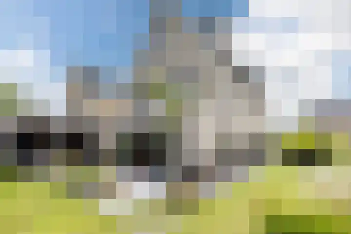 Melkrijdersweg 14 Heiloo thumbnail 44