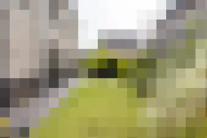 Melkrijdersweg 14 Heiloo thumbnail 45