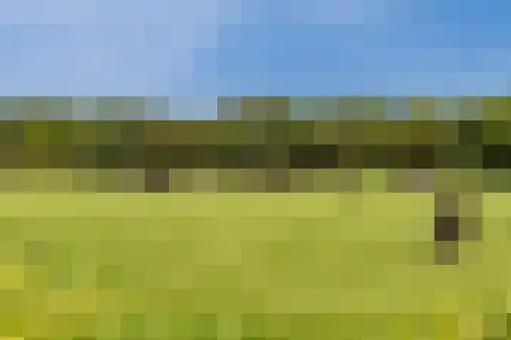 Melkrijdersweg 14 Heiloo thumbnail 47