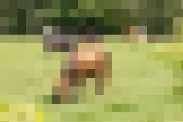 Melkrijdersweg 14 Heiloo thumbnail 48