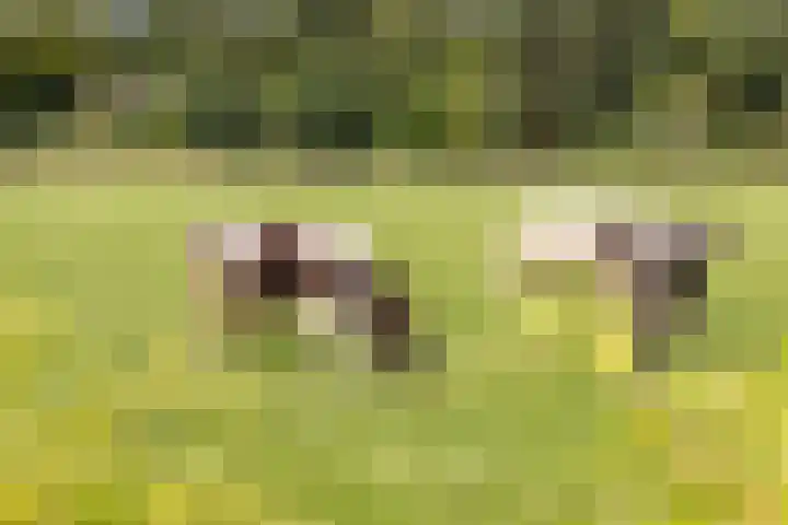 Melkrijdersweg 14 Heiloo thumbnail 49