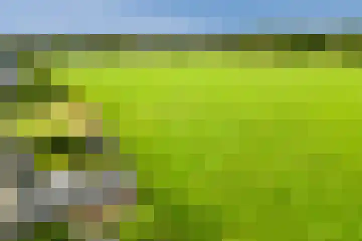 Melkrijdersweg 14 Heiloo thumbnail 50
