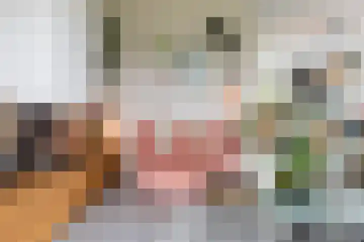 Melkrijdersweg 14 Heiloo thumbnail 6
