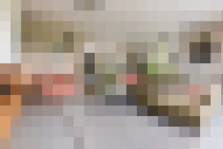 Melkrijdersweg 14 Heiloo thumbnail 7
