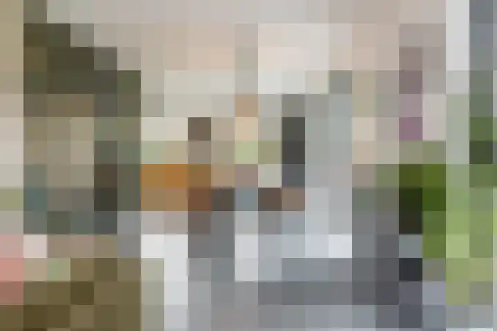 Melkrijdersweg 14 Heiloo thumbnail 9