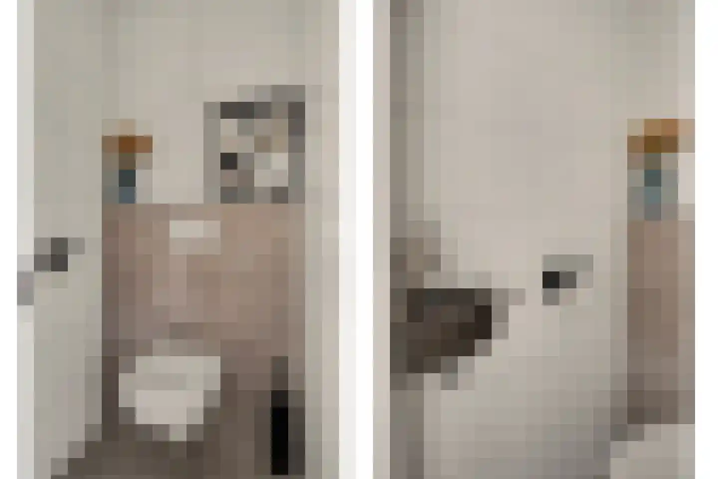 Melkschouw 7 Reeuwijk thumbnail 16