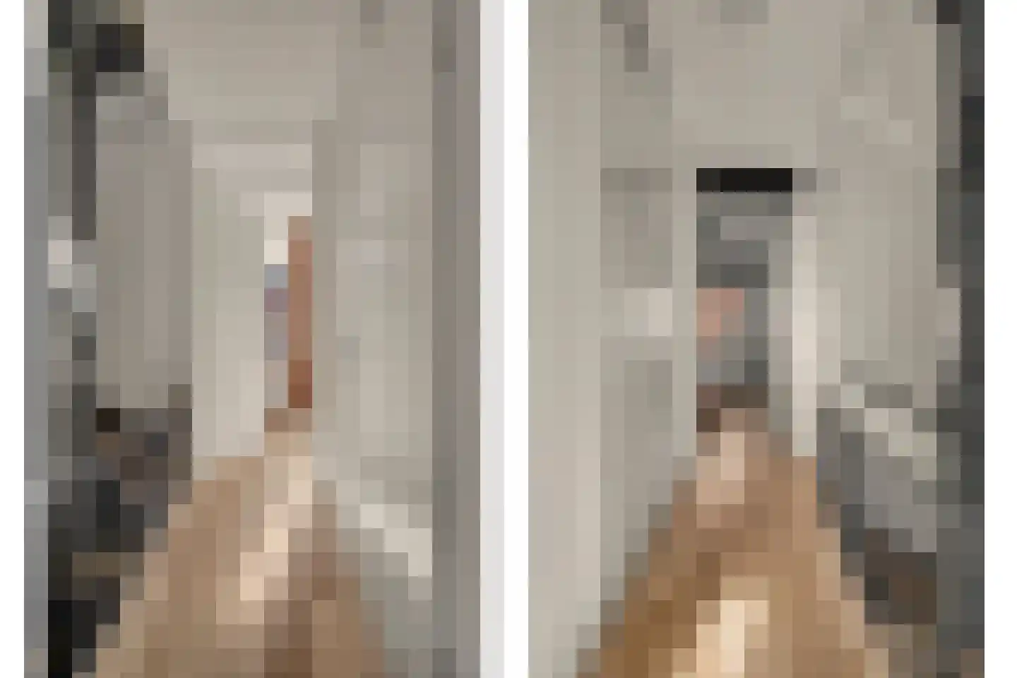 Melkschouw 7 Reeuwijk thumbnail 17