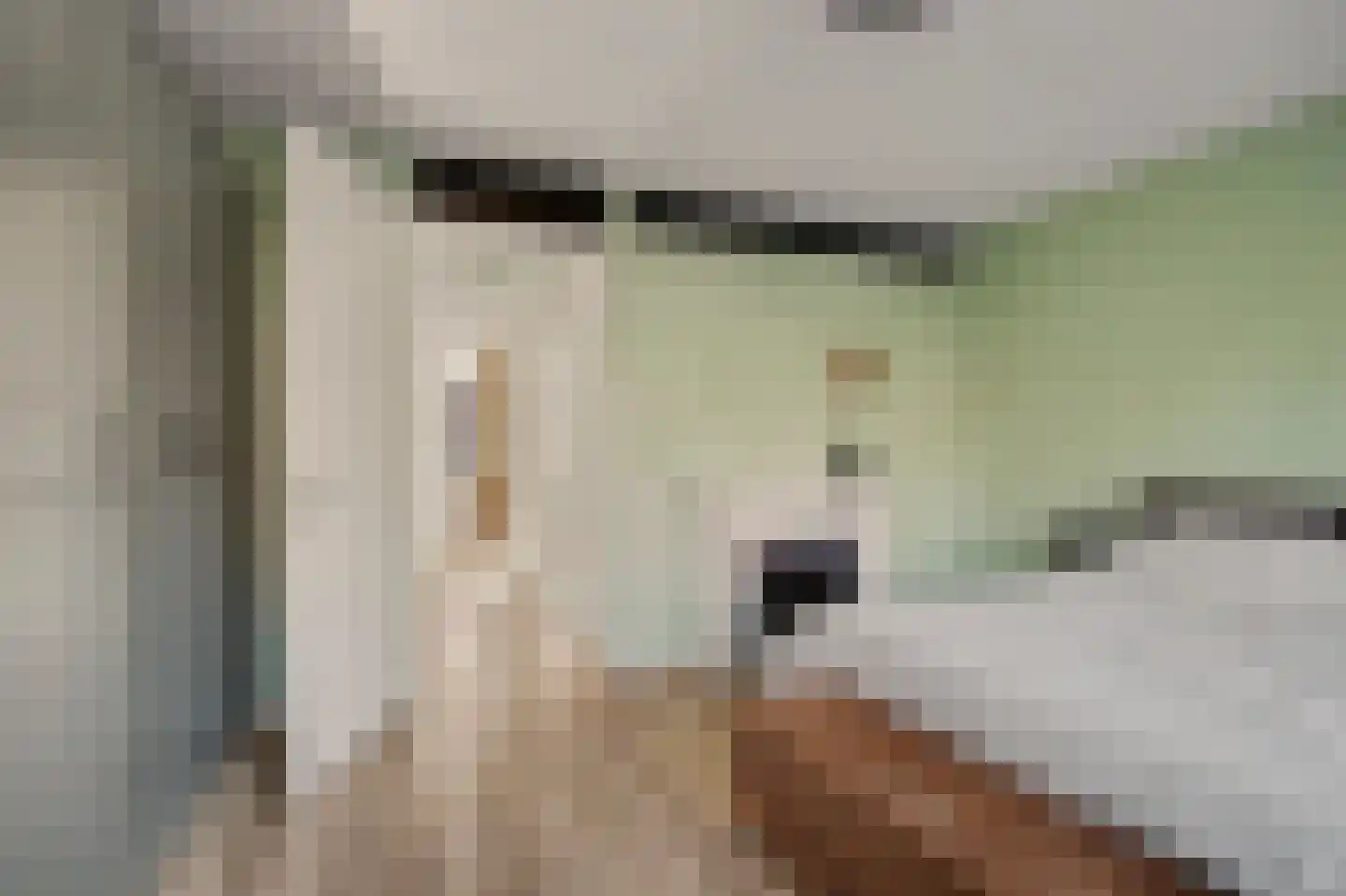 Melkschouw 7 Reeuwijk thumbnail 20