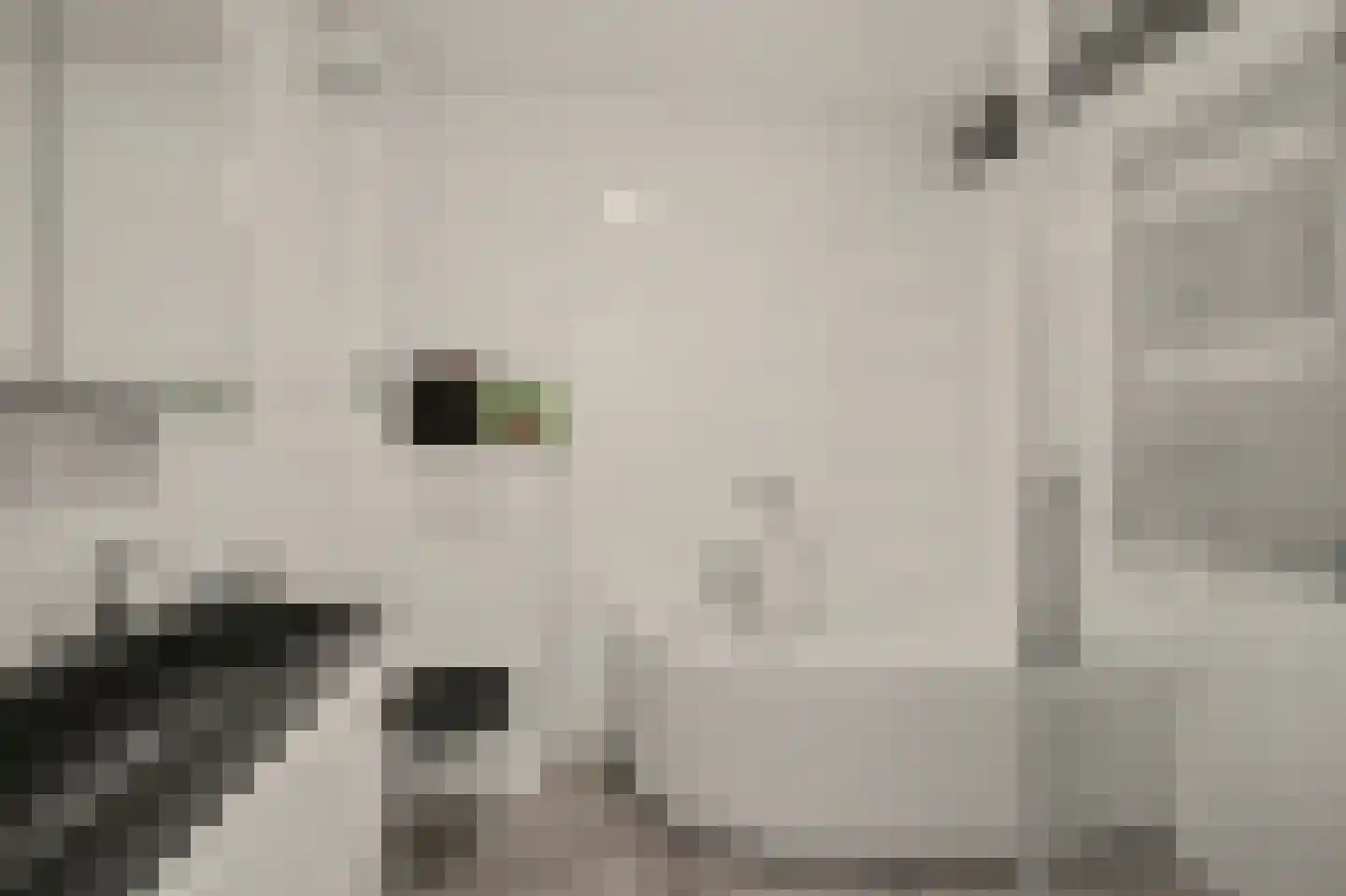 Melkschouw 7 Reeuwijk thumbnail 23