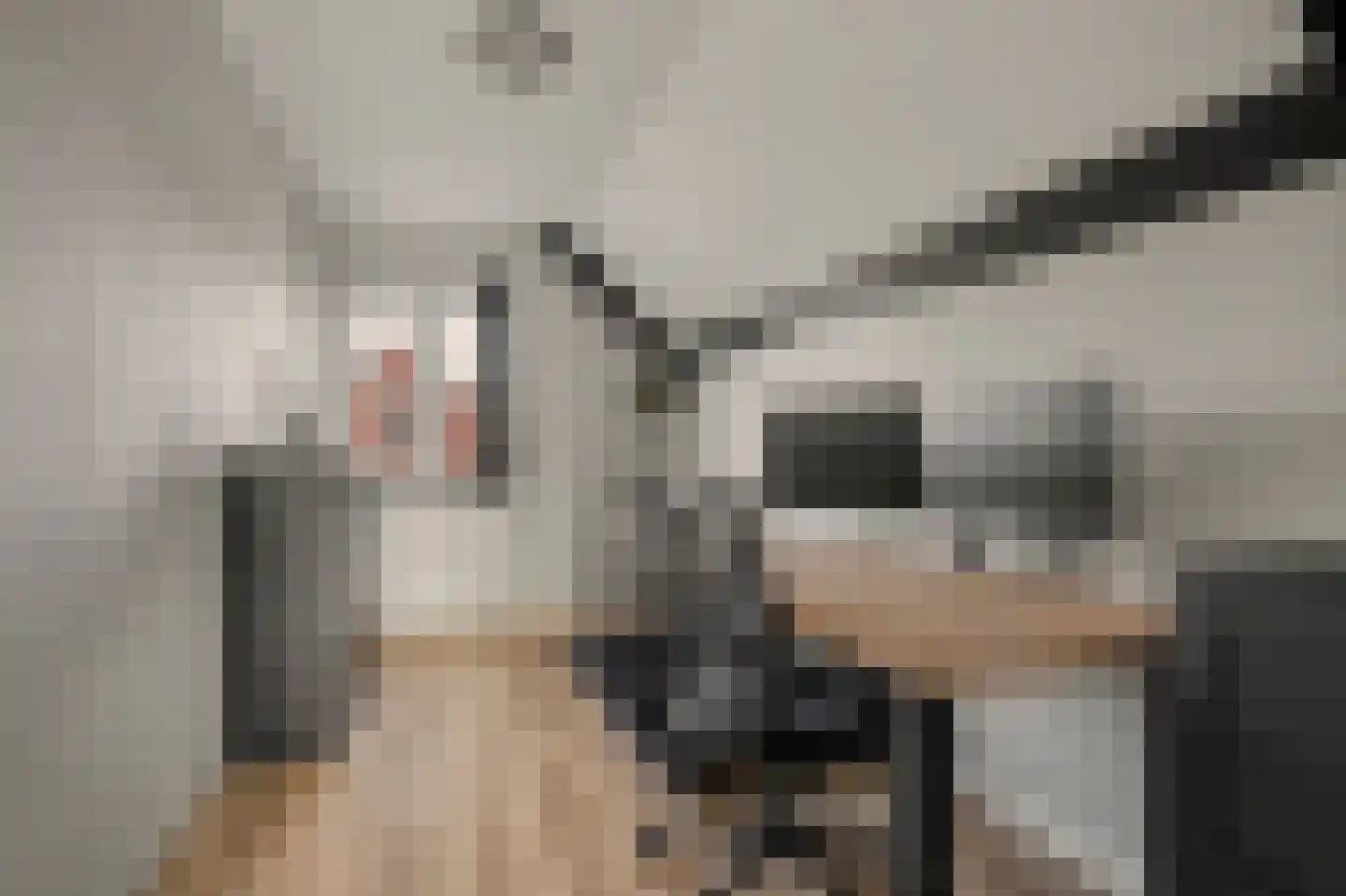 Melkschouw 7 Reeuwijk thumbnail 29