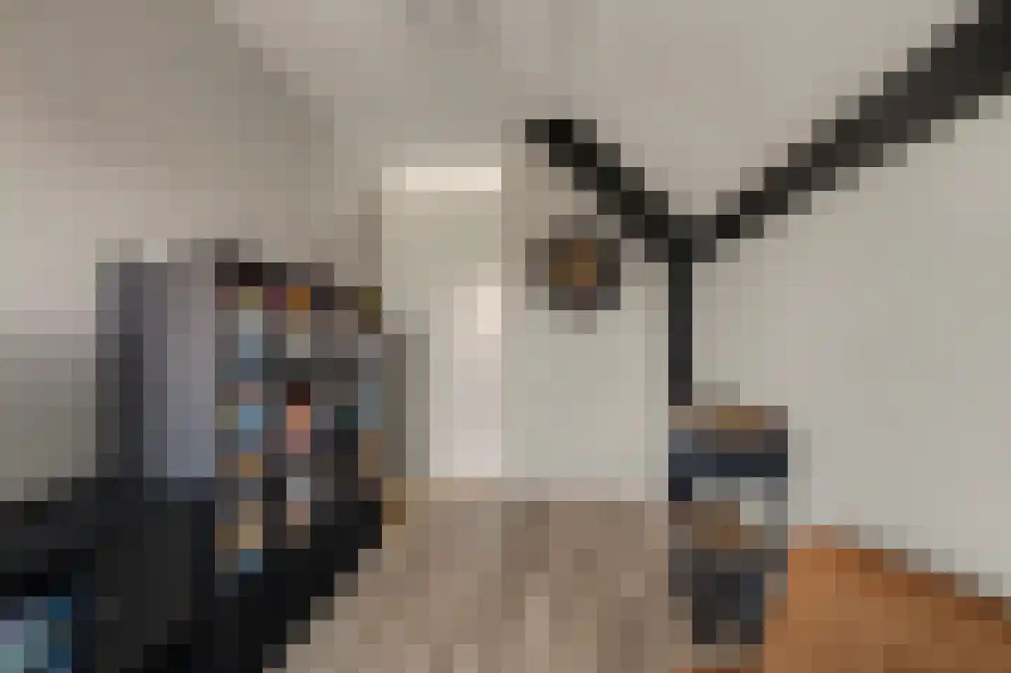 Melkschouw 7 Reeuwijk thumbnail 31