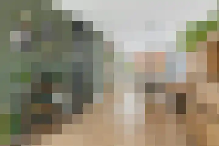Melksloot 18 Alkmaar thumbnail 11
