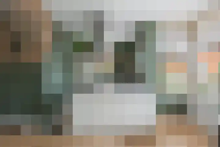 Melksloot 18 Alkmaar thumbnail 13