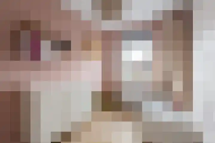 Melksloot 18 Alkmaar thumbnail 21